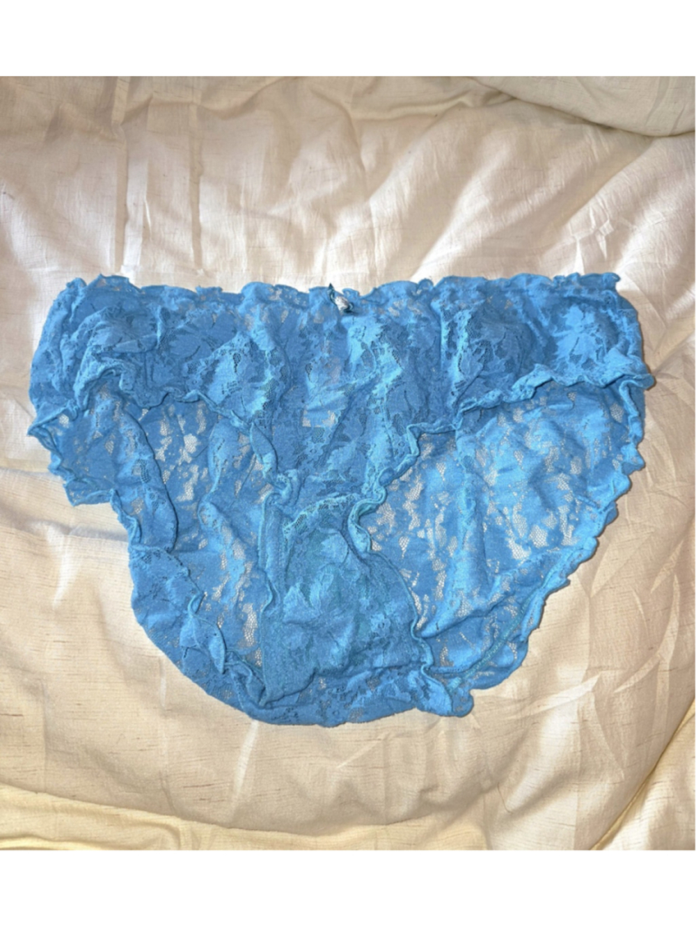 Vintage Secret Treasures Panties Size 8 Blue Sheer Lace